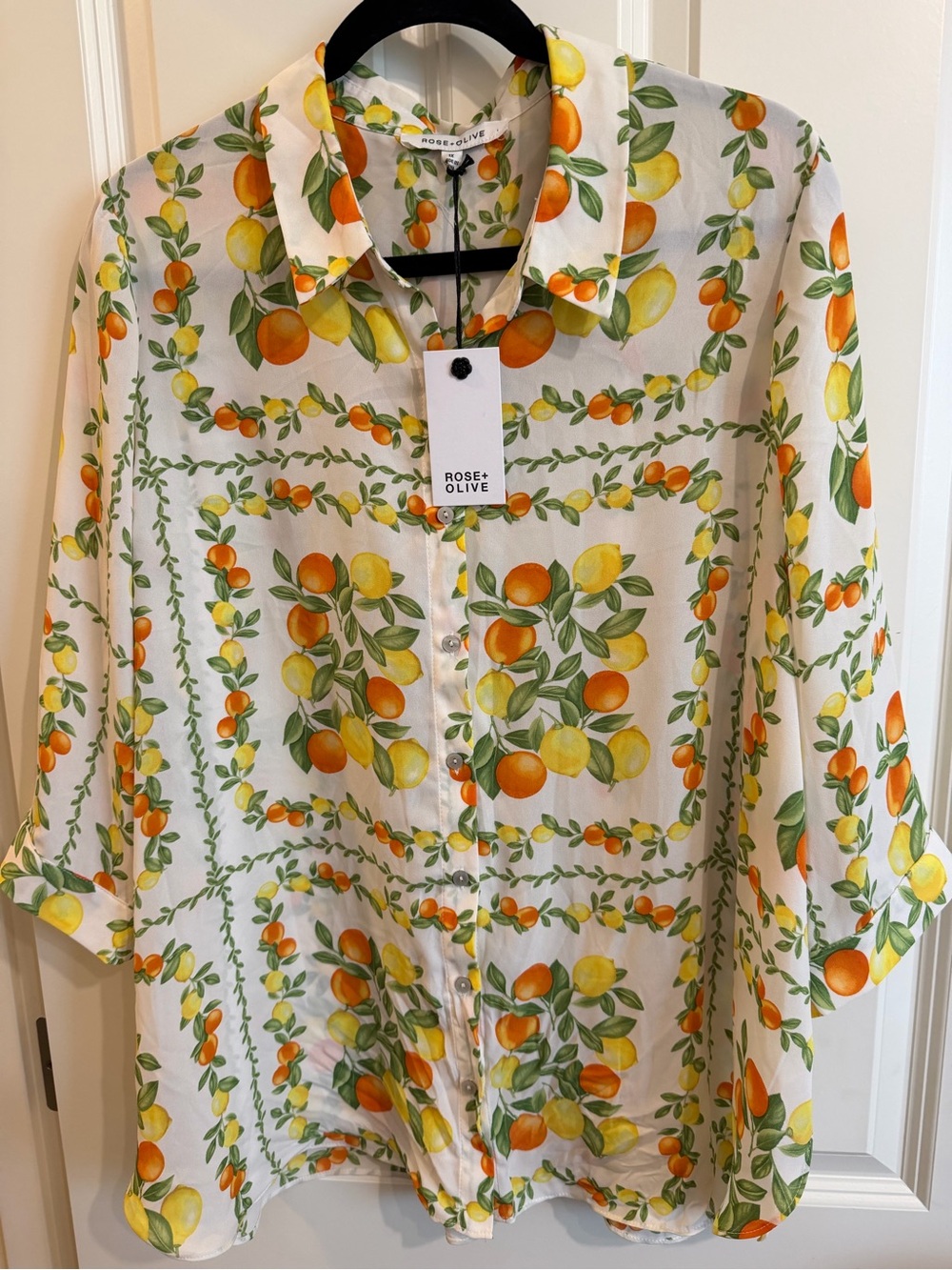 Rose and Olive fruit print button blouse, size 1X, NWT